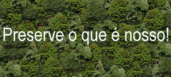 meio-ambiente
