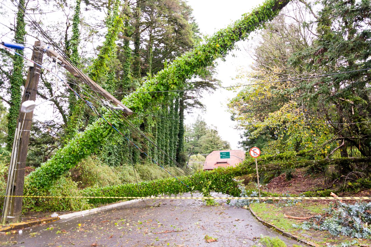 temporal-em-gramado-bairro-planalto