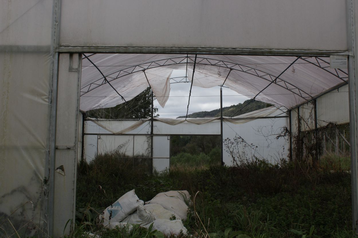 fitoterapia-prefeitura-de-gramado