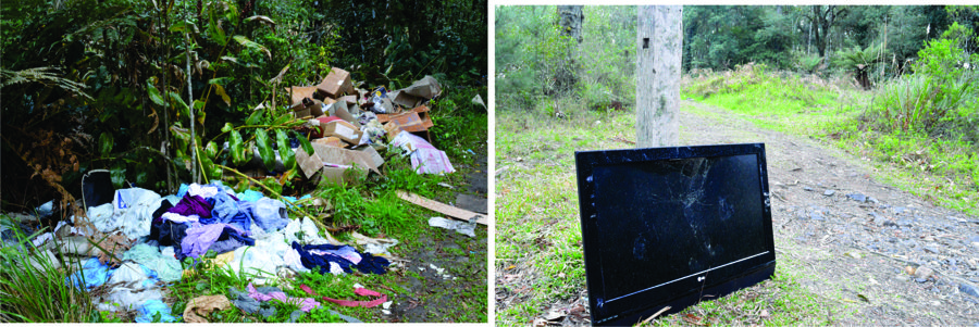 lixo-no-lago-da-ferradura