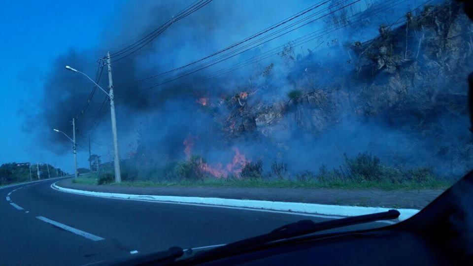 incendio-na-mata-rodovia-gramado-canela
