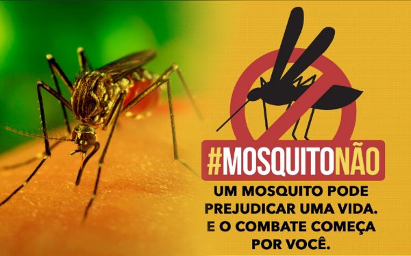 mosquito-aedes-aegypt