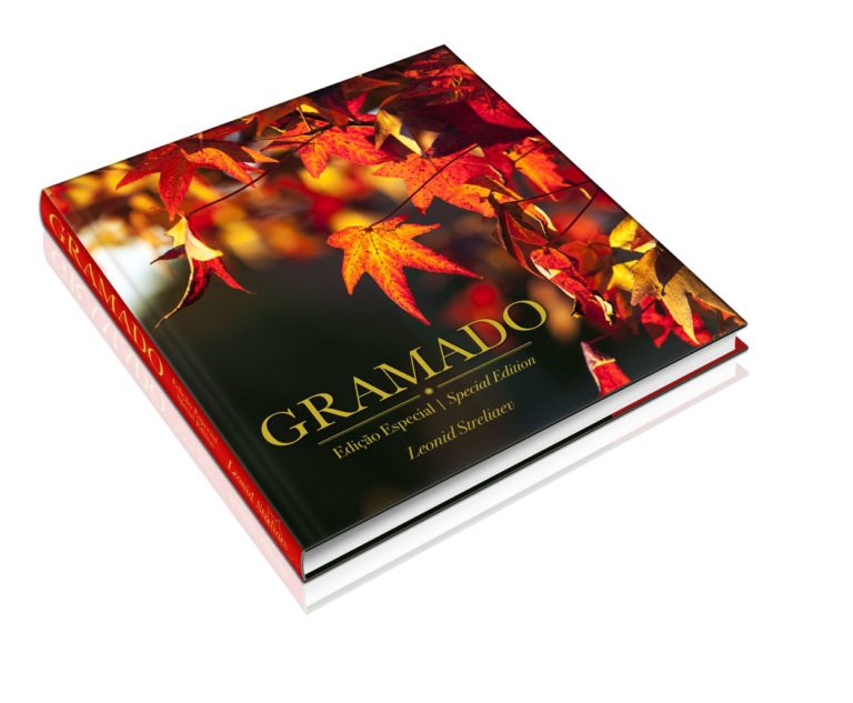 livro-leonid-streliaev