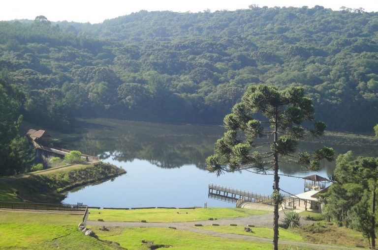 2- Parque dos Pinheiros_Roque Tomazeli