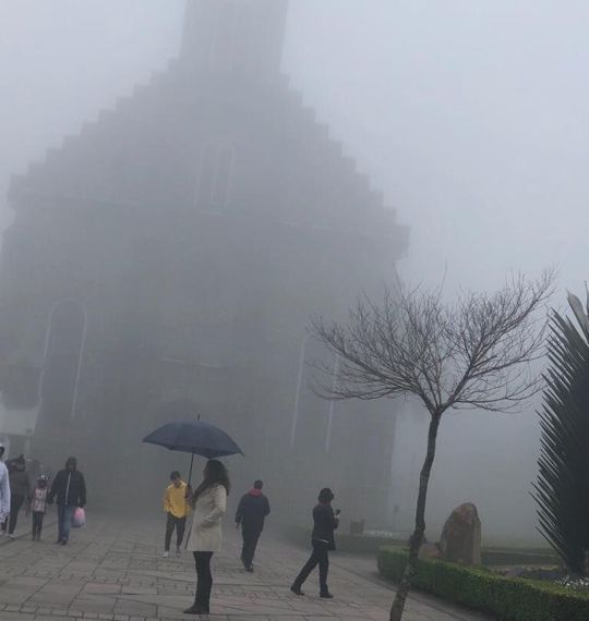 neblina-em-gramado