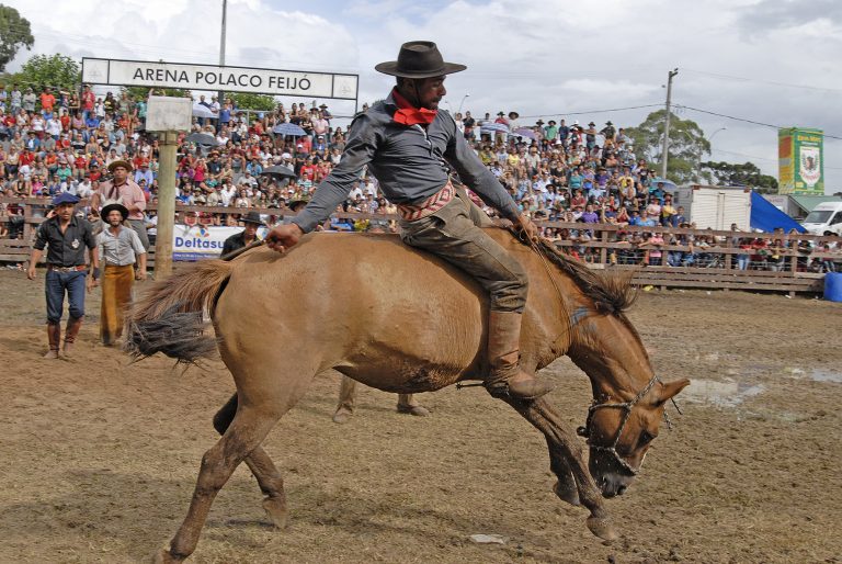 2E77F7C6-A0EF-46F2-8631-08D79458EAB5