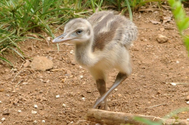 DSC_6784-e1582222887530