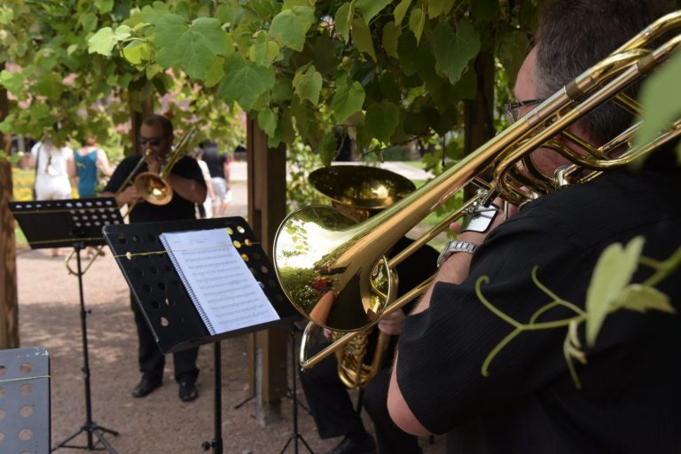 RCV_5440-e1581019501419