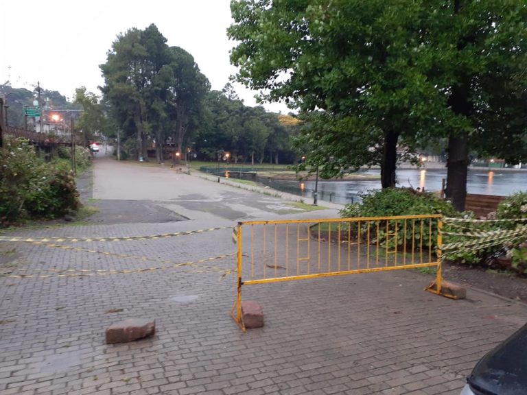 Trânsito_divulgação