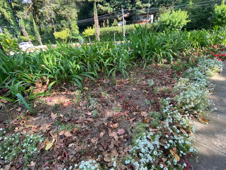 praca-rotula-das-bandeiras