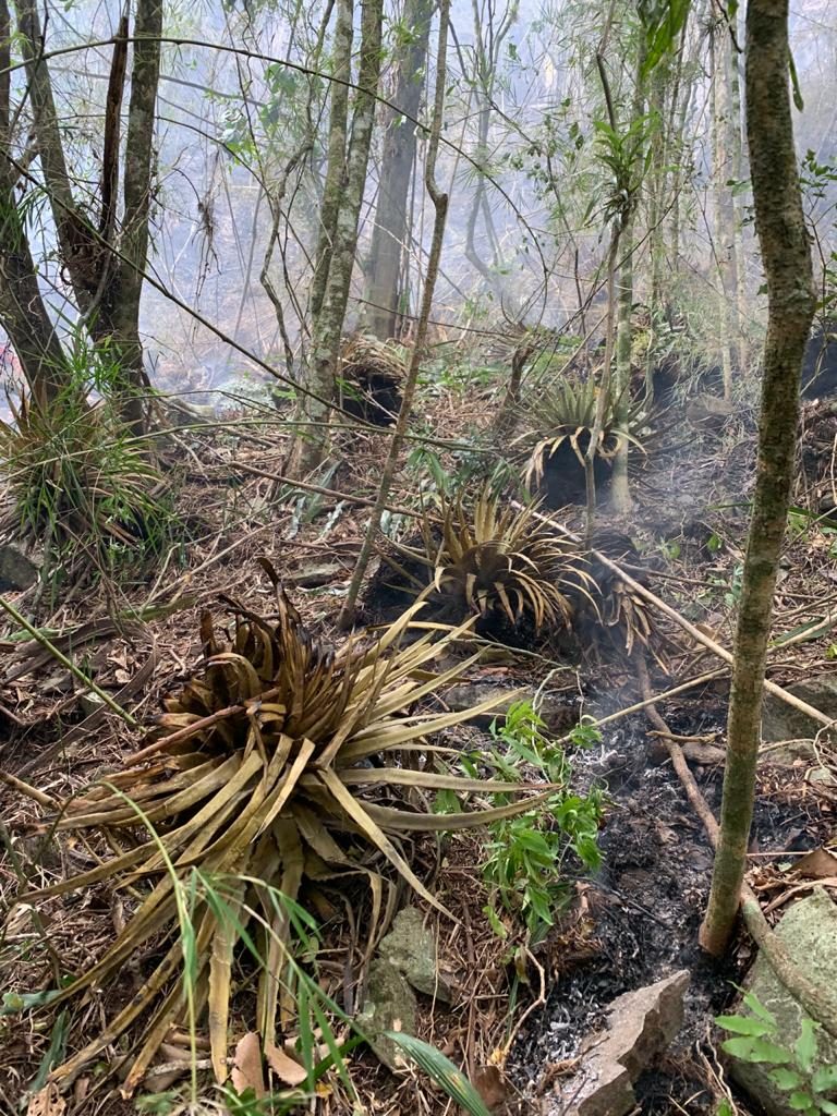 fogo-morro-agudo-gramado