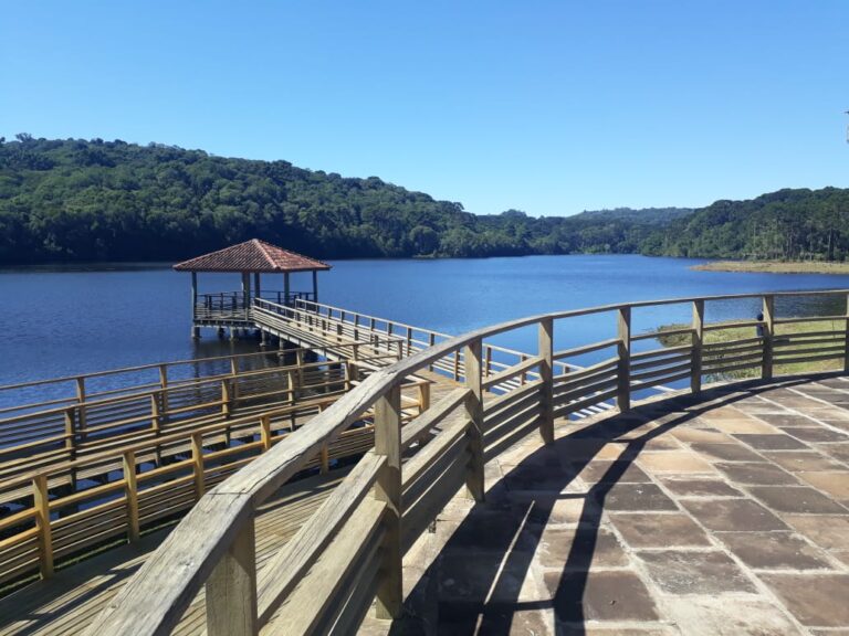 Parque dos Pinheiros_Mathias Santos