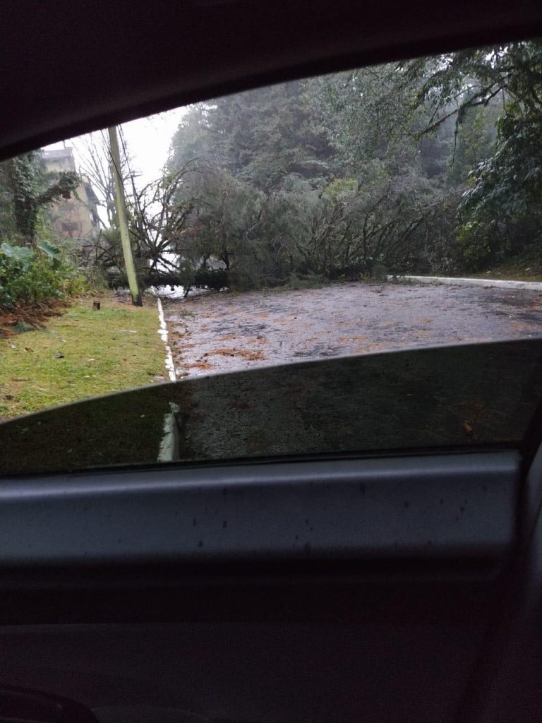 vendaval-bairro-planalto