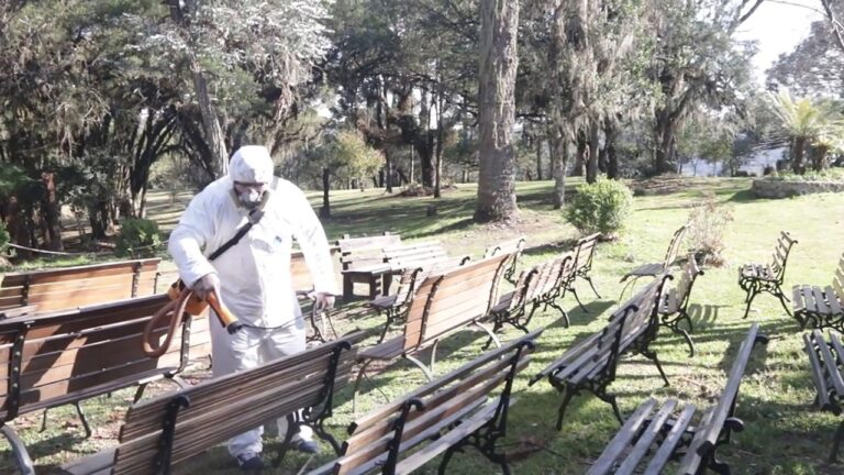 caracol_foto_duda_idalino3