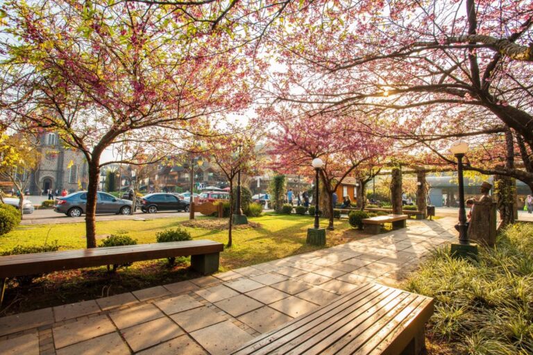 Foto-Cleiton-Thiele-e1603826807939