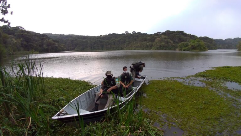 Meio Ambiente e Patram