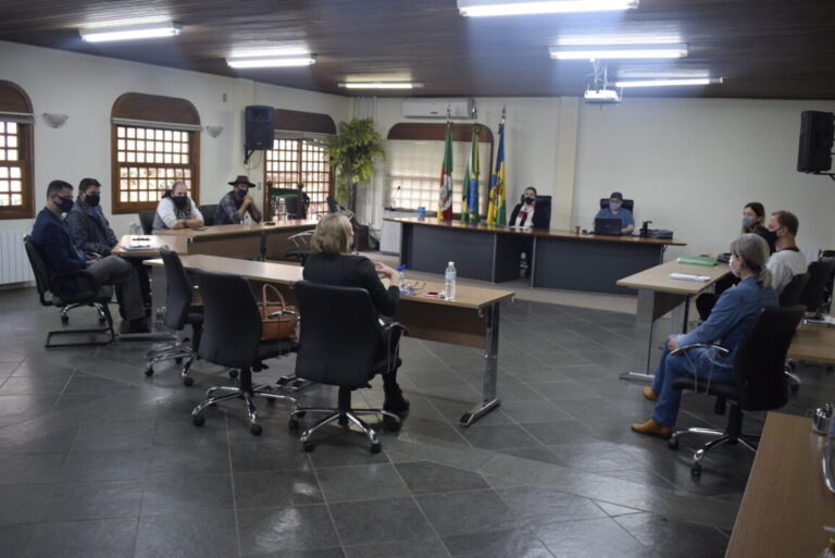 Reunião_Camara-Técnica-e1603914050434