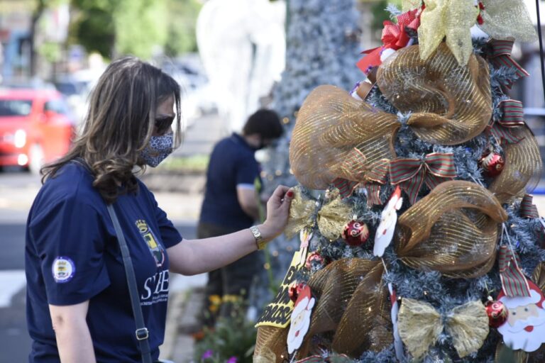 árvores_rafa_cavalli2