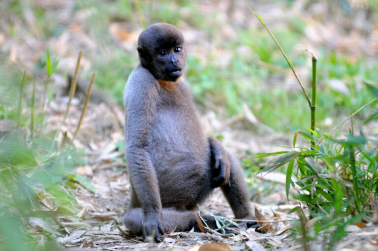 DSC_9620-e1606409868615