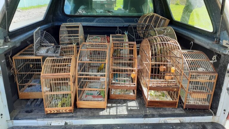 Operação_MeioAmbiente