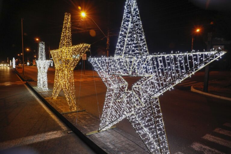 decoracao-natal-luz-avenida-das-hortensias