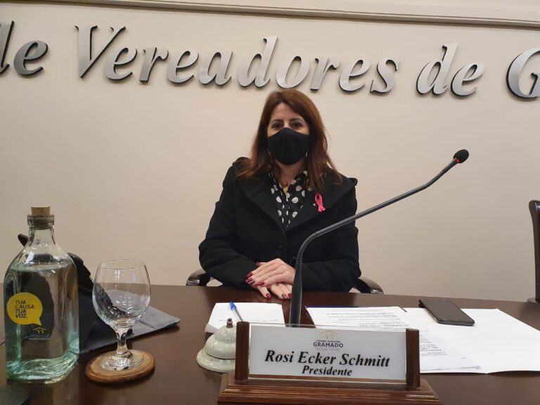 rosi-ecker-presidente-camara