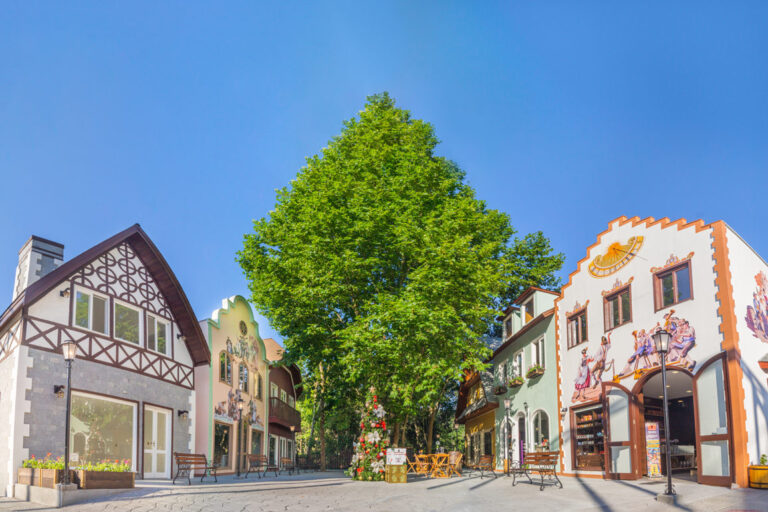 ALPEN-PARK-VILA-ALPINA-12-e1607697418800