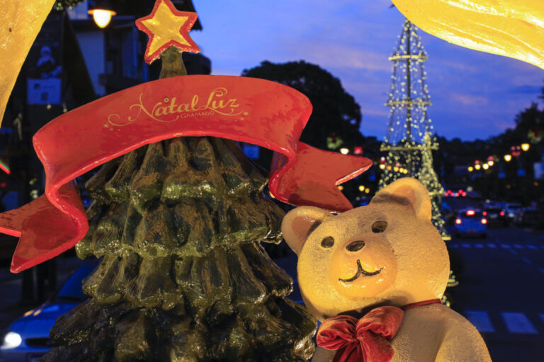 Foto-decoração-da-cidade