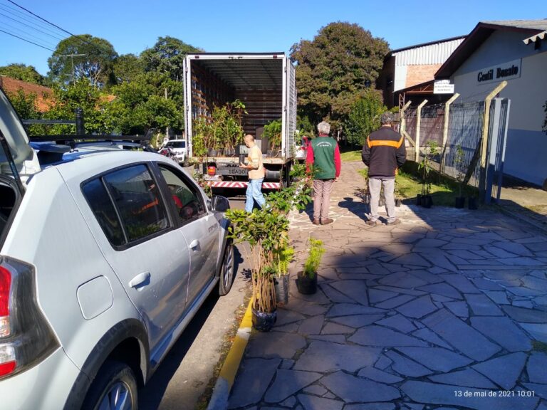 Gramado + Verde 13-05-21 (4)