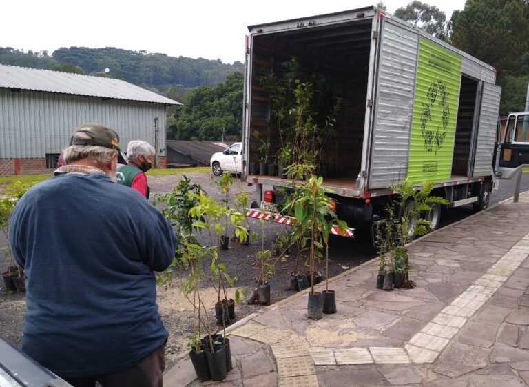 Gramado + Verde distribui mais de 230 mudas de árvores no bairro Jardim