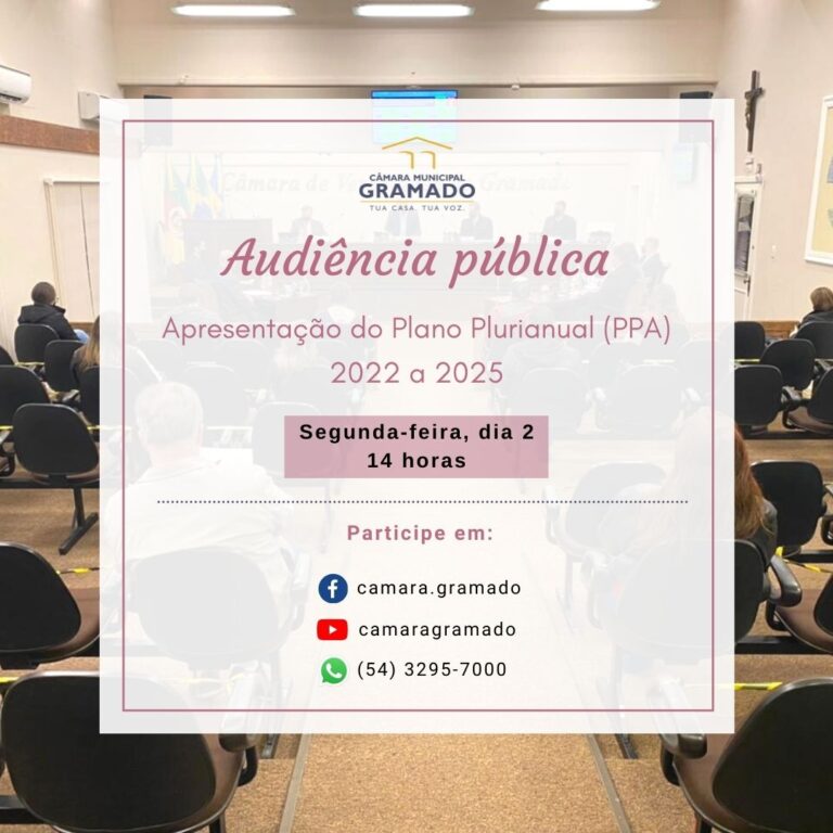 Audiência pública - Dia 2