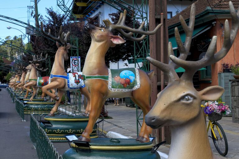 Foto Renas Decoradas