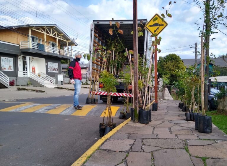 Gramado + Verde distribui mais de 230 mudas de árvores no bairro Vila do Sol