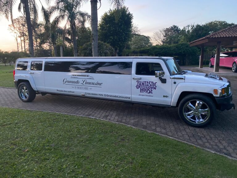 limousine-fantastic-house