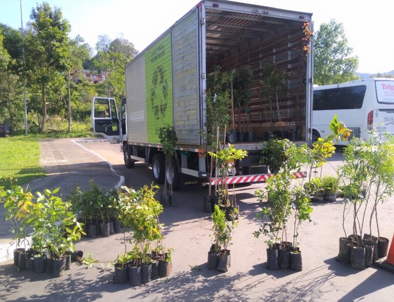 Ação Gramado + Verde