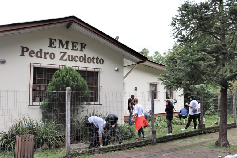 Ação pedro Zucolotto