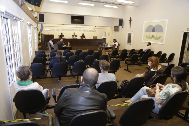 Audiência pública - 25