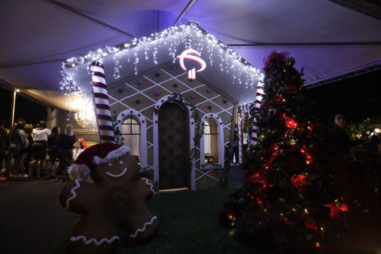 Foto Bradesco no Natal Luz