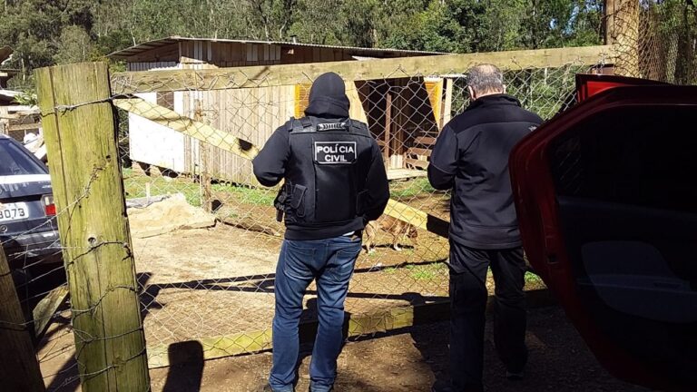 Operação contra Tráfico em Canela