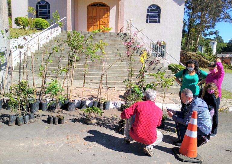 Gramado + Verde 20-11-21