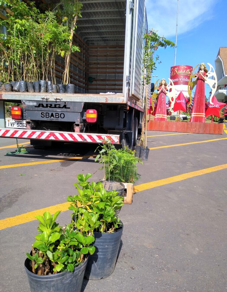 Gramado + Verde 29-10-21