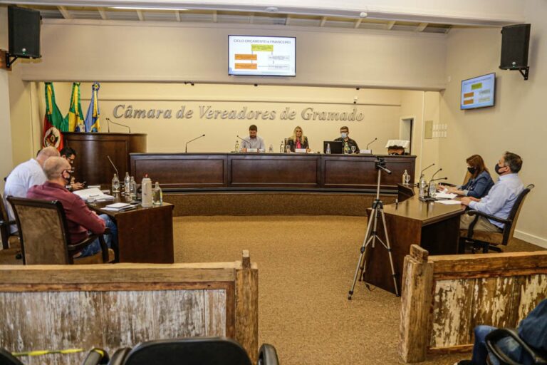 Audiência pública - 1