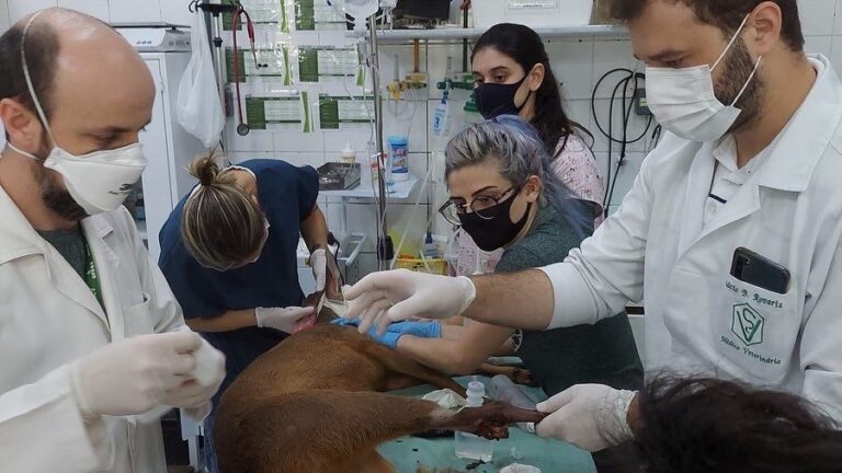 PHOTO-2021-12-10-14-20-47