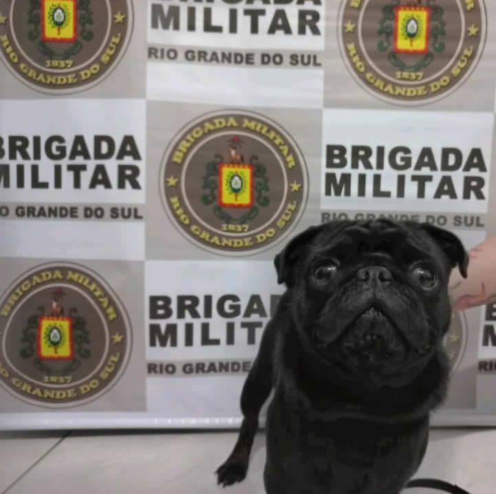 PHOTO-2022-01-04-06-04-20