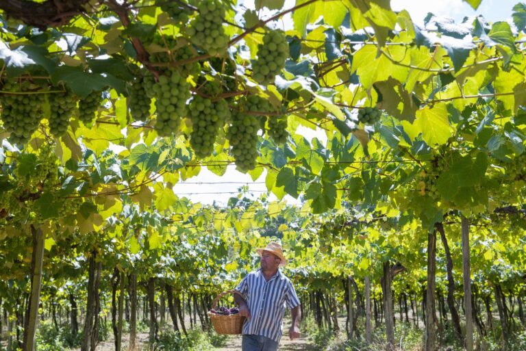 Lazaretti_DSC6601 (2)