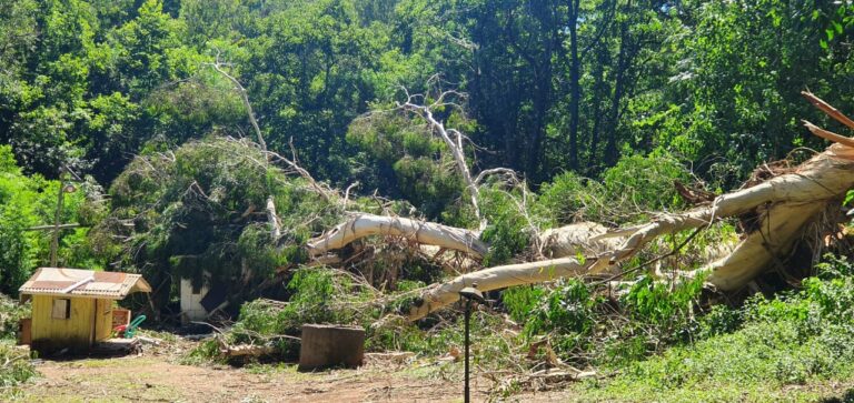 PHOTO-2022-02-02-10-30-26