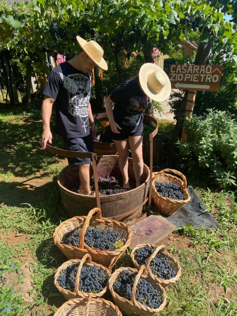 Foto roteiro Pisa da Uva.a pisa