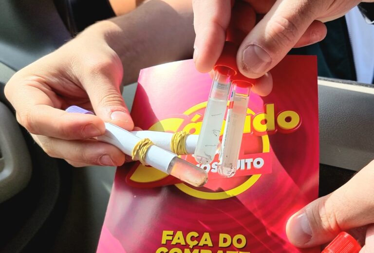 mosquito dengue em gramado
