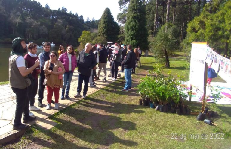 c8ff216a-e3b3-4ca9-849e-9828ad892a20