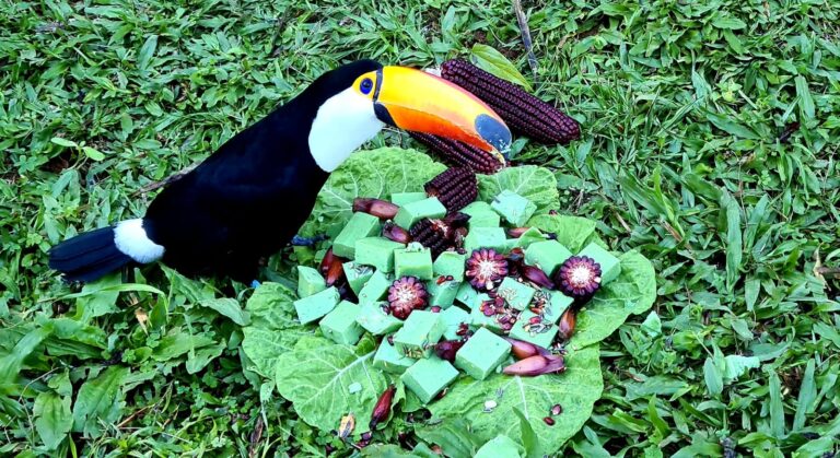 frio_zoo_fotos_halder (4)